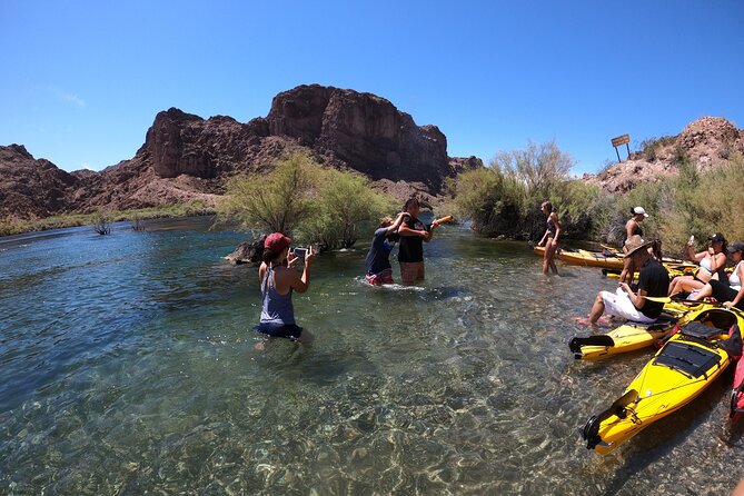 Emerald Cave Express Kayak Tour with Scenic & Historic Stops - How Hard Is This Paddle, Really, and What to Expect From the Guides