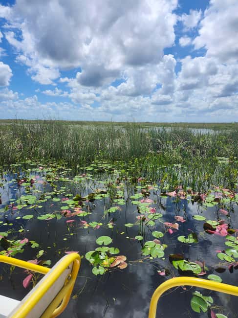 Everglades Eco Airboat Small-Group Tour & 2 Private Islands - Why this Everglades airboat feels different from the big parks