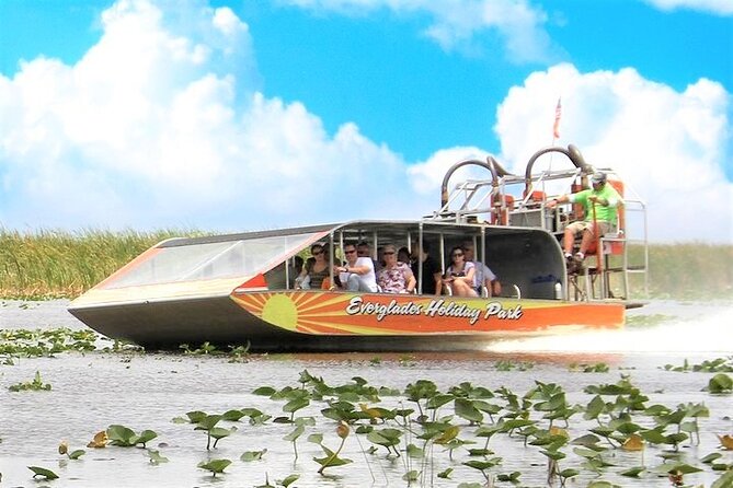 Everglades Holiday Park Airboat Tours & Rides - Seeing alligators up close: how to maximize your odds