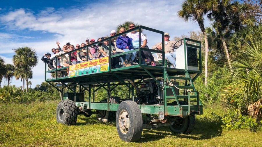 Everglades: Mangrove Maze Airboat Tour and Boardwalk - Entering the Everglades by airboat, with a choice of speed