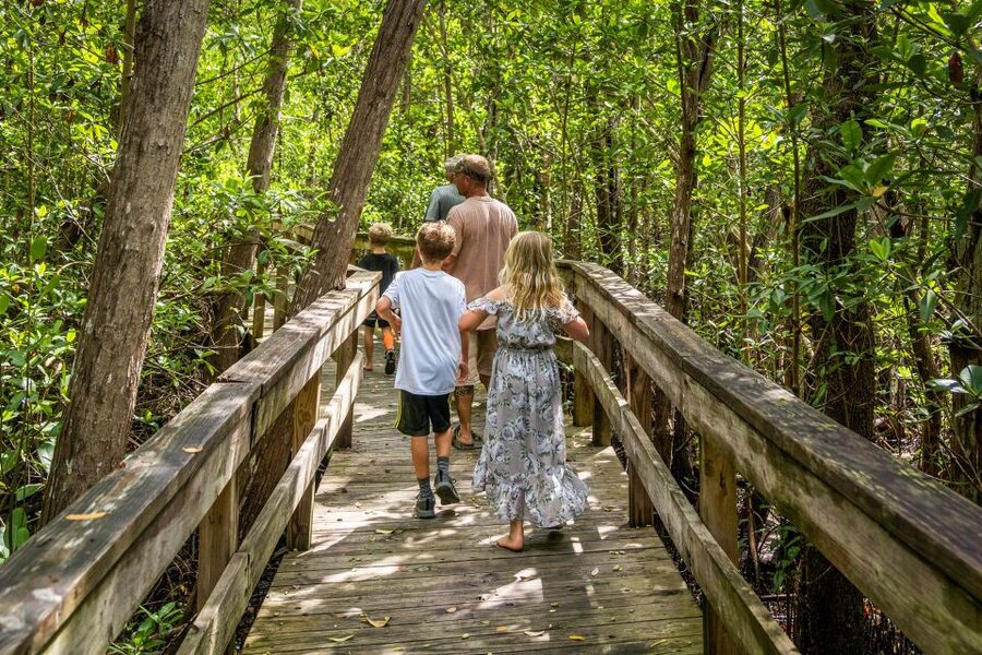Everglades: Mangrove Maze Airboat Tour and Boardwalk - What you pay for: value at $64 per person