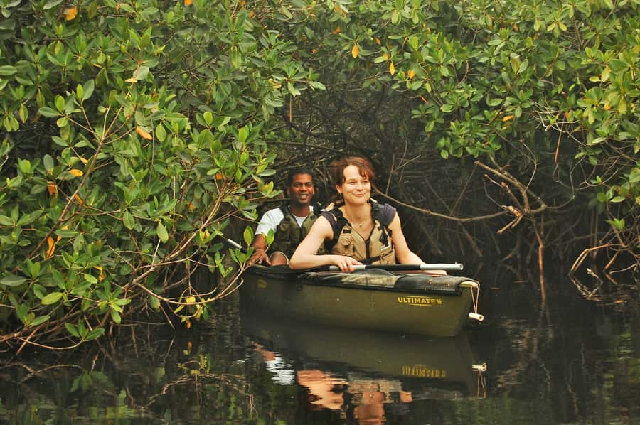 Everglades National Park: Mangrove Tunnel Kayak Eco-Tour - Where You Start on Tamiami Trail E, and How to Find the Right Kayak Trailer