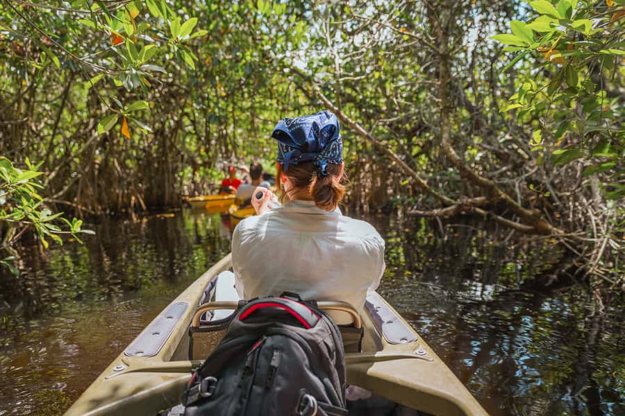 Everglades National Park: Mangrove Tunnel Kayak Eco-Tour - The Mangrove Tunnel Experience: Where Your Kayak Feels Like It Floats Through a Cathedral