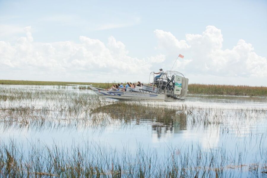 Everglades: Sawgrass Park Day Time Airboat Tour & Exhibits - Reptile Exhibit Time: Touch a Baby Alligator and See the Rescue Work