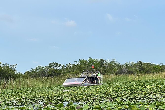 Everglades Small-Group Tour from Miami with Transportation - Stop One, Miami Beach and Downtown: Why Starting This Way Helps