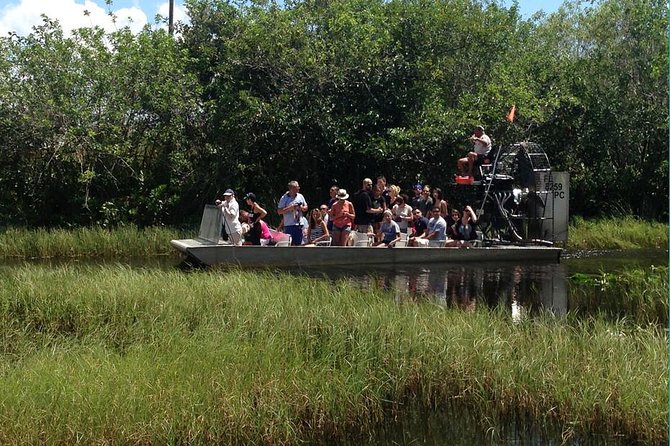 Everglades Small-Group Tour from Miami with Transportation - The Rescued Alligator Learning Stop: Why It’s Worth the Time