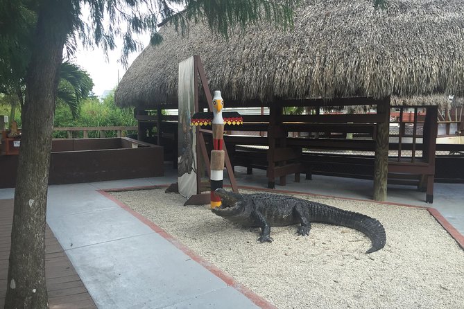 Everglades Small-Group Tour from Miami with Transportation - Pickup From Miami Hotels: The Part You Should Plan Around