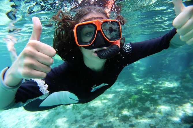 Exclusive Small Group VIP Heated Manatee Snorkel Tour - Your manatee swim: wetsuits, timing, and what to expect underwater