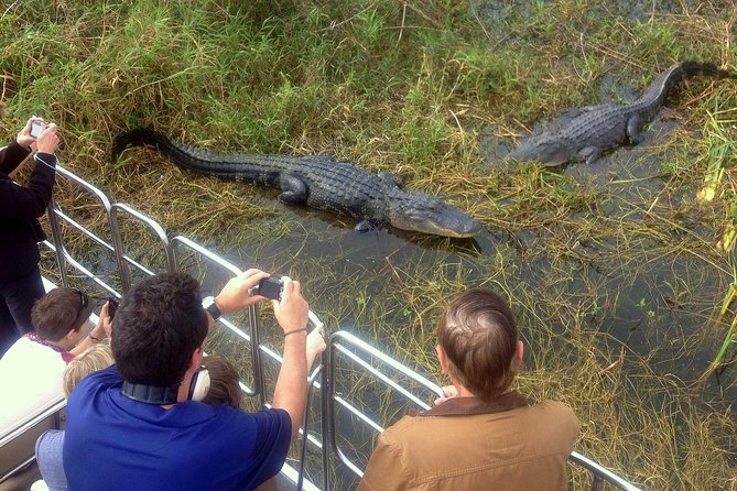 Florida Everglades Airboat Tour and Wild Florida Admission with Optional Lunch - Gator Park Admission: More Than a Bonus, It’s the Second Half of the Day