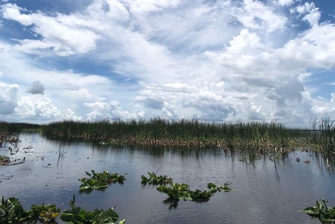 Florida Everglades Airboat Tour and Wild Florida Admission with Optional Lunch - Practical Tips That Make the Day Easier