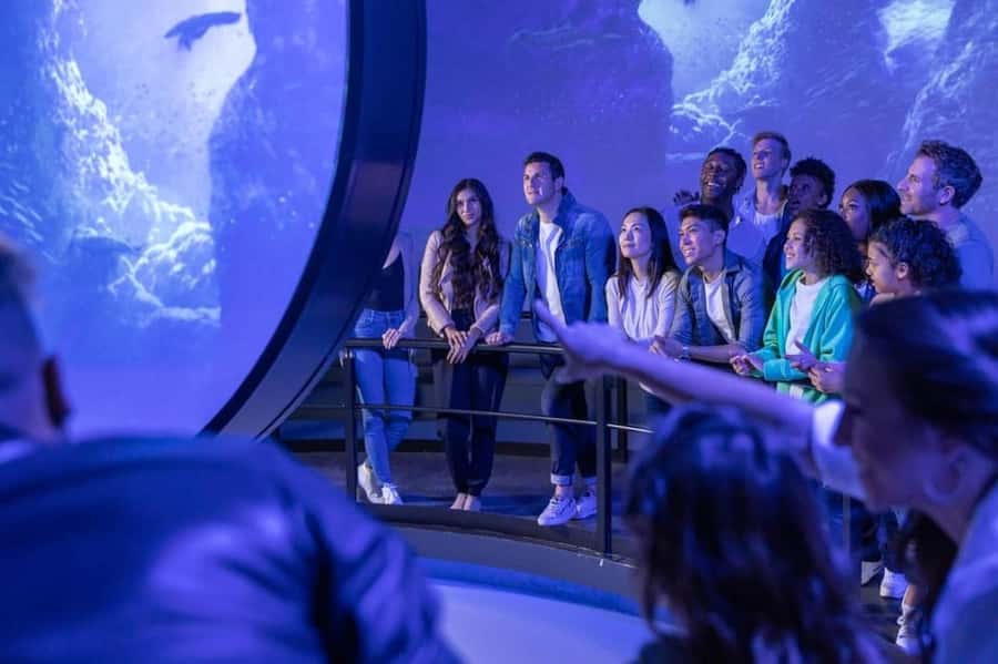Flyover in Chicago: An Immersive Flying Theatre Experience - Inside the theatre, how the ride works in real life