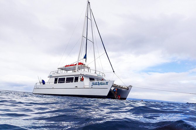 Four Winds Molokini Snorkeling Tour from Maalaea Harbor - Molokini on a 55-Foot Glass-Bottom Catamaran from Maalaea