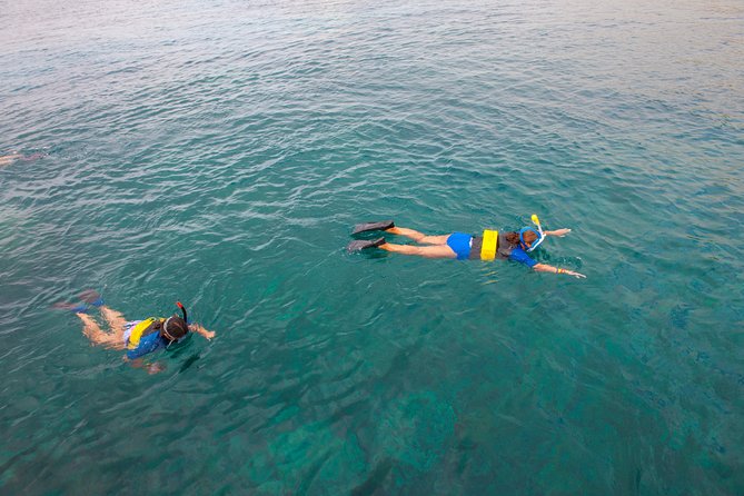 Four Winds Molokini Snorkeling Tour from Maalaea Harbor - Snorkeling gear, sea boards, and support for kids and first-timers
