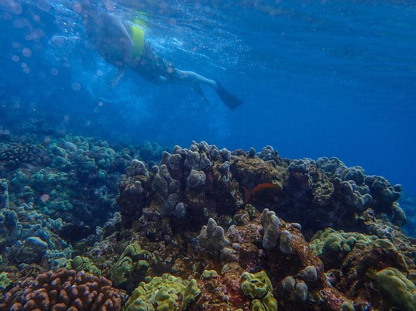 Four Winds Molokini Snorkeling Tour from Maalaea Harbor - The sail out: Haleakala views, island spotting, and naturalist commentary