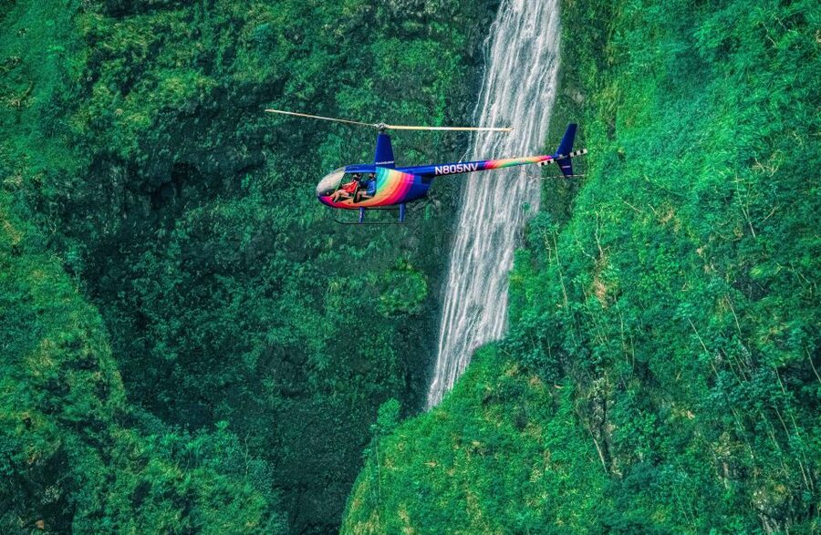 From Honolulu: Oahu 60min Helicopter Tour with Doors Off/On - The Dole Plantation and the Pineapple Moment Before Pearl Harbor