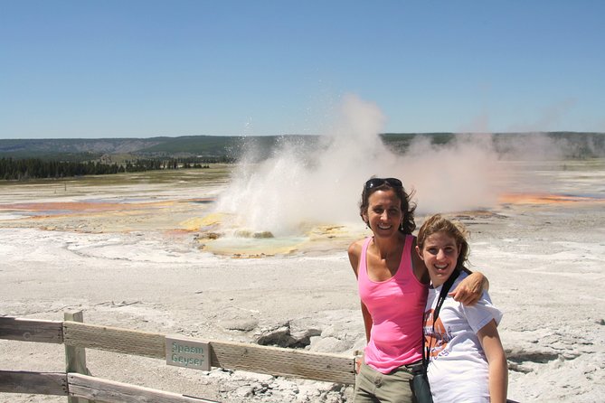 From Jackson Hole: Yellowstone Old Faithful, Waterfalls and Wildlife Day Tour - Wildlife time at Hayden Valley: where patience pays off