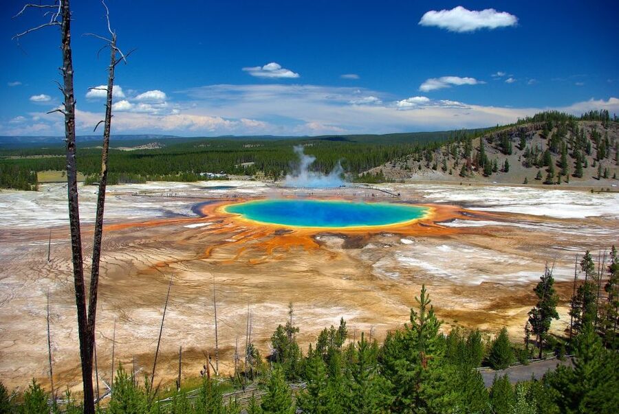 From Jackson: Yellowstone Day Tour Including Entrance Fee - Who This Yellowstone and Grand Teton Day Tour Fits Best