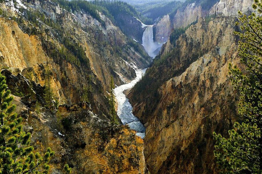 From Jackson: Yellowstone Day Tour Including Entrance Fee - Wildlife Spotting: Binoculars, Road Stops, and Real Odds