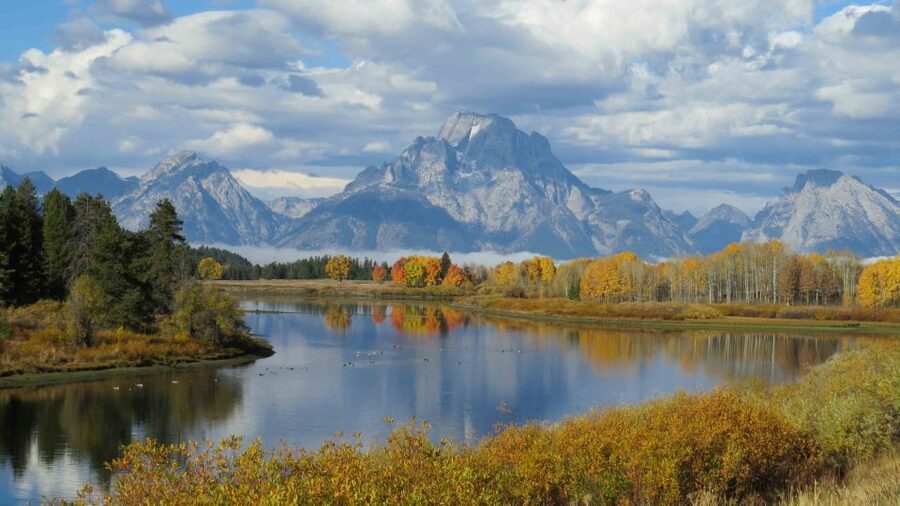 From Jackson: Yellowstone Day Tour Including Entrance Fee - Food, Breaks, and What to Bring for a 12.5 Hour Day