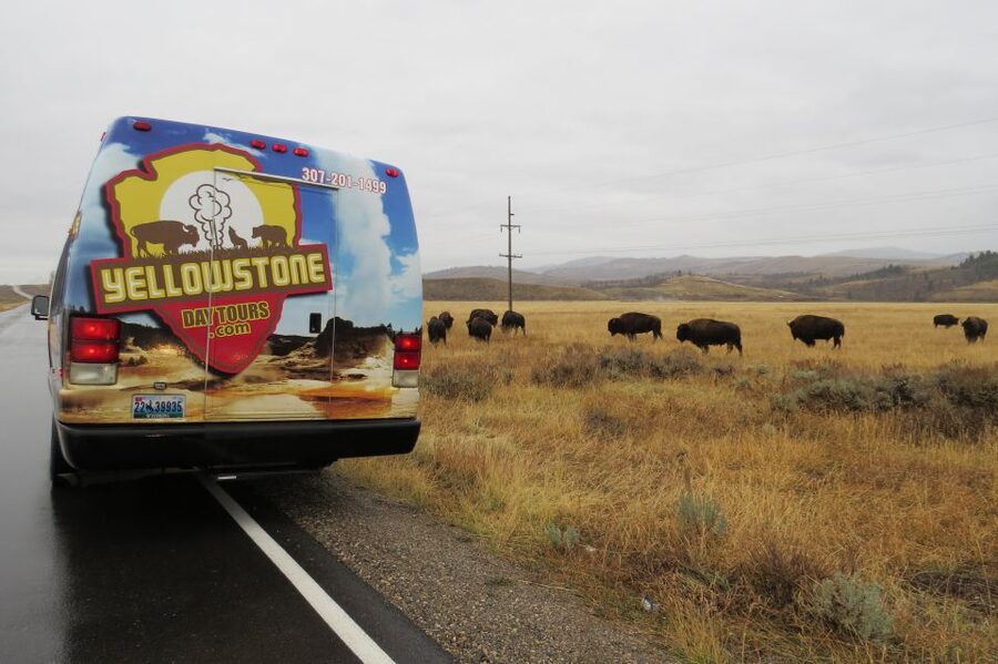 From Jackson: Yellowstone Day Tour Including Entrance Fee - Price and Park Fees: When This Tour Feels Like a Smart Buy