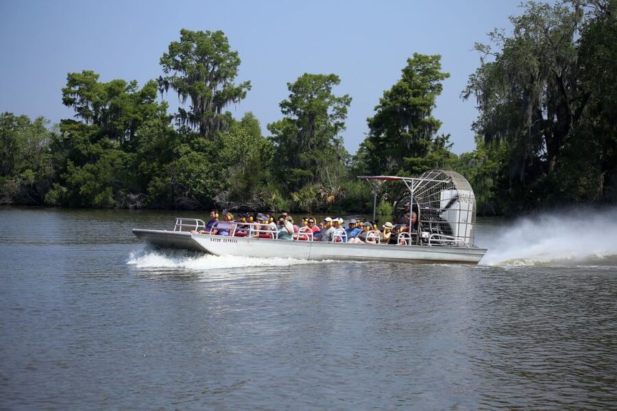 From Lafitte: Swamp Tours South of New Orleans by Airboat - Small Boat or Bigger Boat: Choosing the Right Group Size