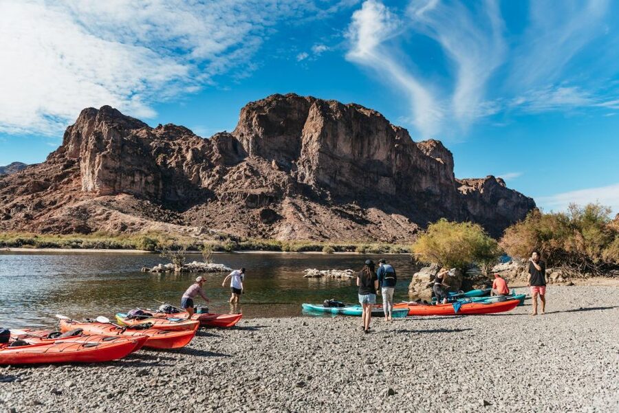 From Las Vegas: Emerald Cave Guided Kayaking Tour - Wildlife on the Route: What You Can Actually Spot