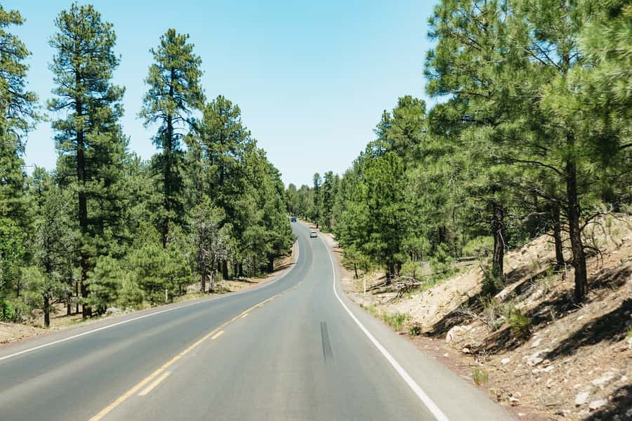 From Las Vegas: Grand Canyon South Rim Day Trip - Who This Day Trip Suits Best, and Who Might Be Happier Elsewhere