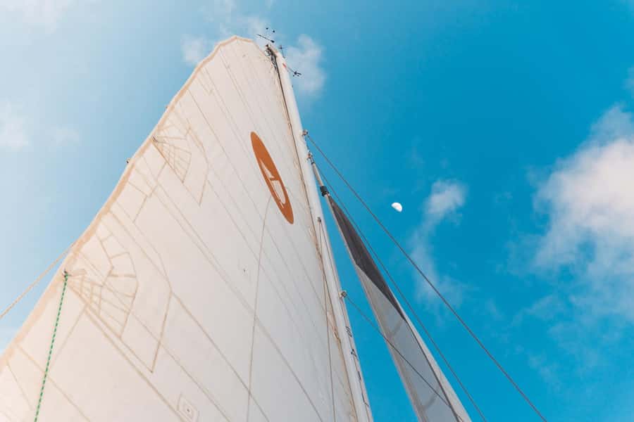 From Ma'alaea: 'Alihilani Sunset Sail Catamaran Tour - Wildlife Odds: Dolphins, Seabirds, and Winter Humpbacks