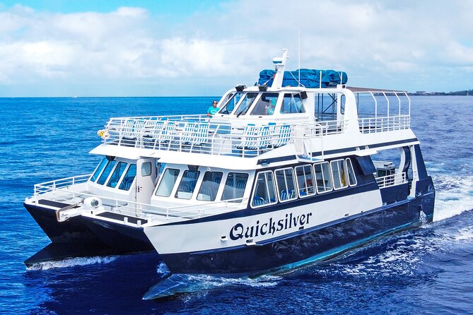 From Maalaea: Whale Watching Tour Aboard the Quicksilver - Key highlights that matter before you go