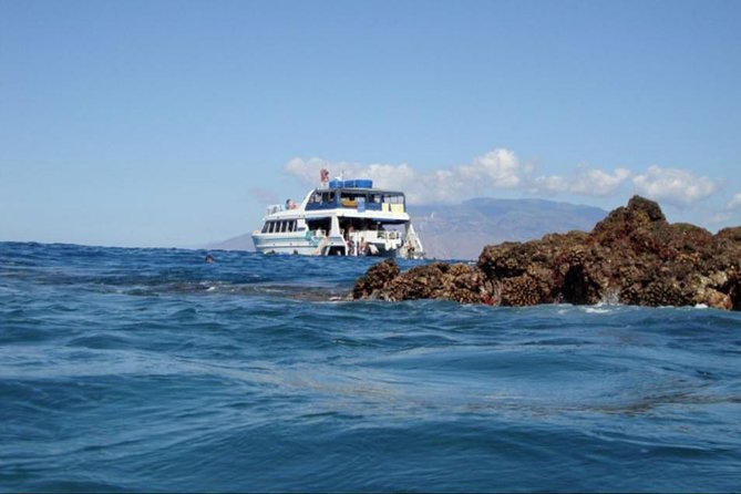 From Maalaea: Whale Watching Tour Aboard the Quicksilver - Drinks and extras: what you get free versus what costs extra