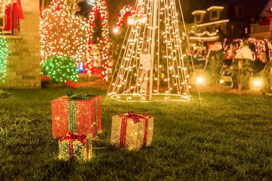 From Manhattan: Dyker Heights Lights & Skyline Tour - Key highlights worth planning for