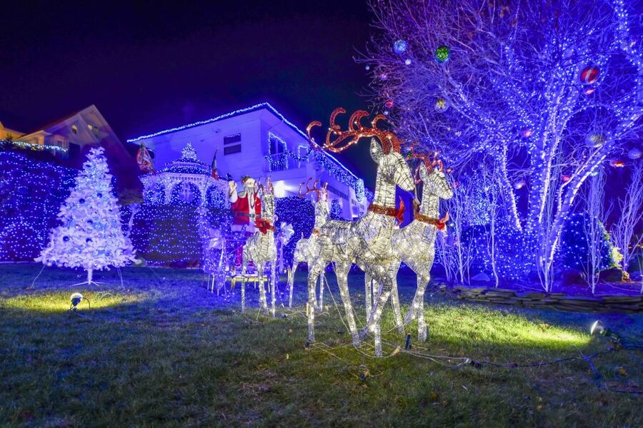 From Manhattan: Dyker Heights Lights & Skyline Tour - Price and value: why $55 can feel fair for this format