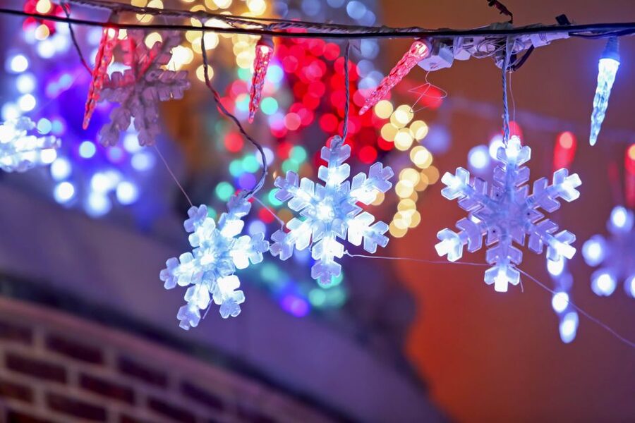 From Manhattan: Dyker Heights Lights & Skyline Tour - Who this tour suits best, and who should think twice