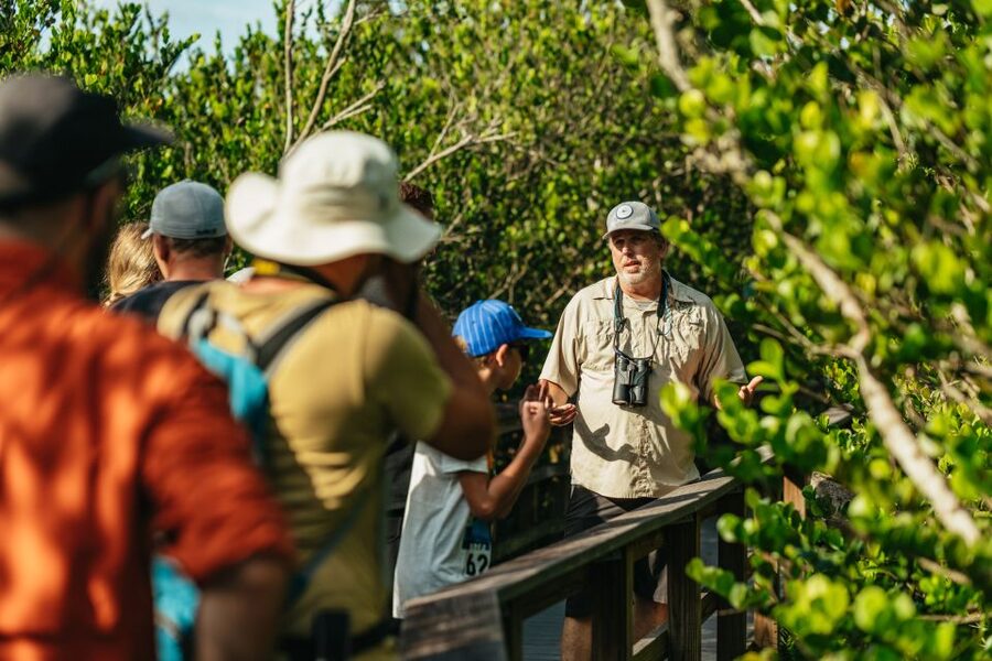 From Miami: Everglades Airboat Ride and Nature Walk - Key Highlights You Will Actually Feel