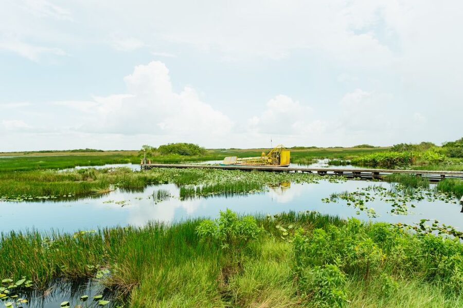 From Miami: Everglades Airboat Ride and Nature Walk - Everglades National Park Walk: Tropical Hardwood Hammocks and Real Wildlife Reading
