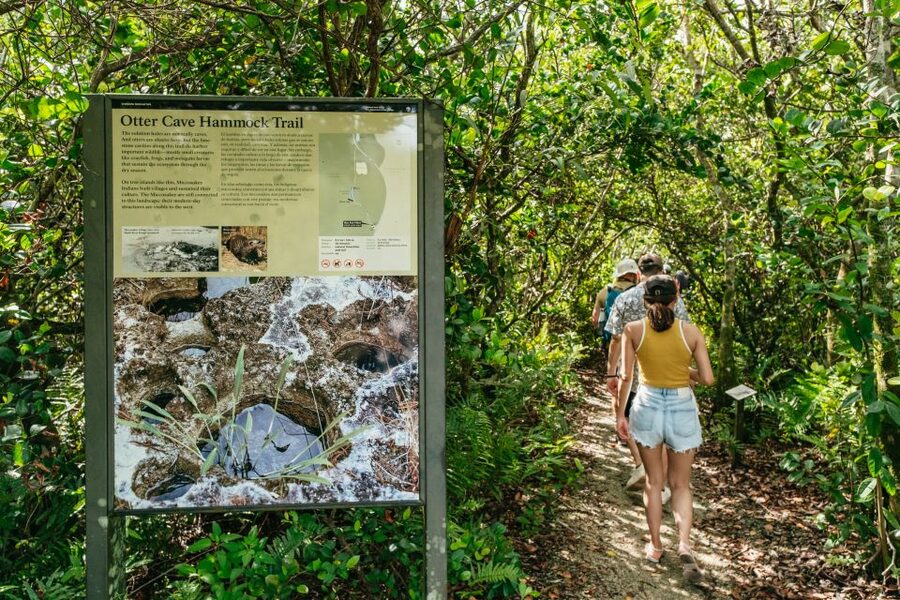 From Miami: Everglades Airboat Ride and Nature Walk - Timing, Pacing, and How a 330-Minute Day Really Feels