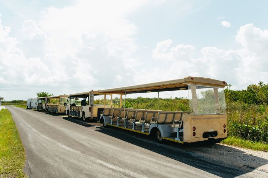 From Miami: Everglades Airboat Ride and Nature Walk - Getting to the Everglades: hotel pickup that actually respects your time