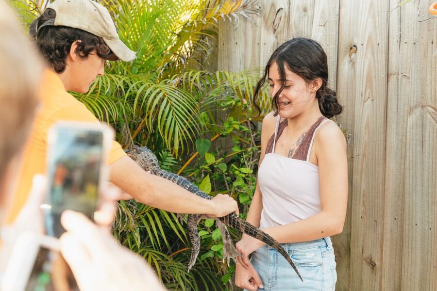 From Miami: Everglades Airboat, Wildlife Show & Bus Transfer - Getting on board: meeting points and the practical way to arrive on time