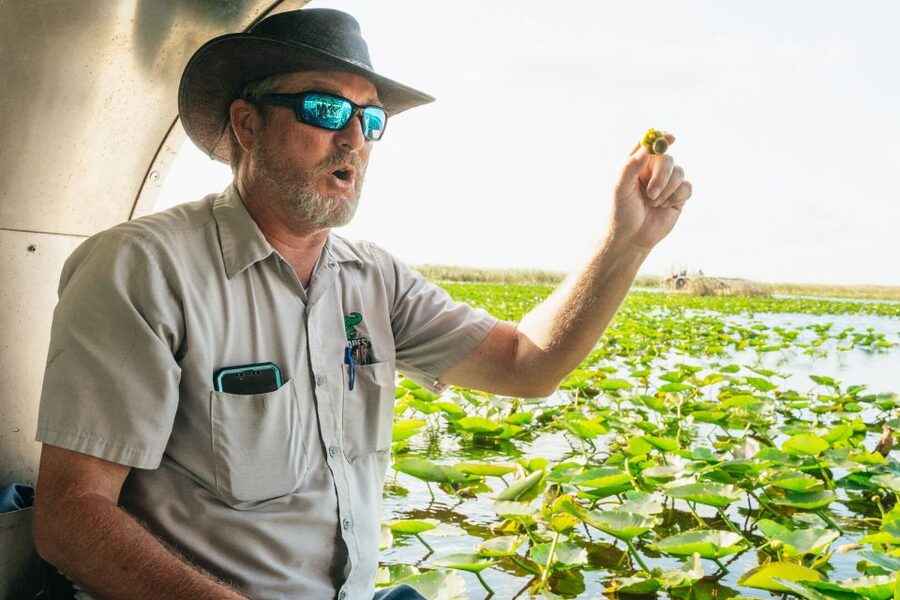 From Miami: Everglades Airboat, Wildlife Show & Bus Transfer - Photo stops and the baby gator moment: plan for a quick picture window