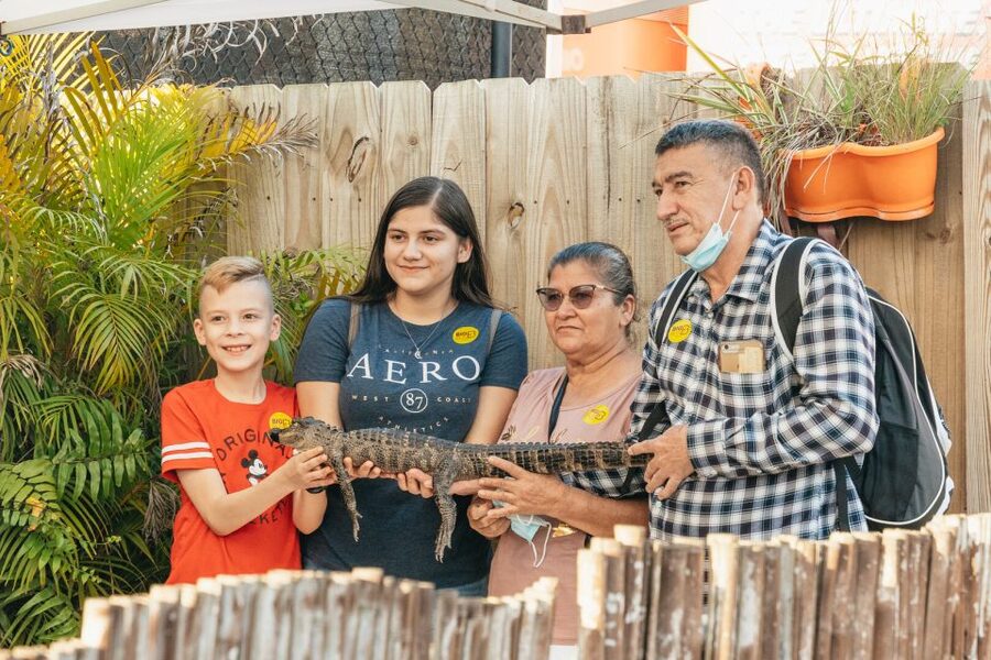 From Miami: Everglades Airboat, Wildlife Show & Bus Transfer - Captains and guides make or break it: what to look for on the day