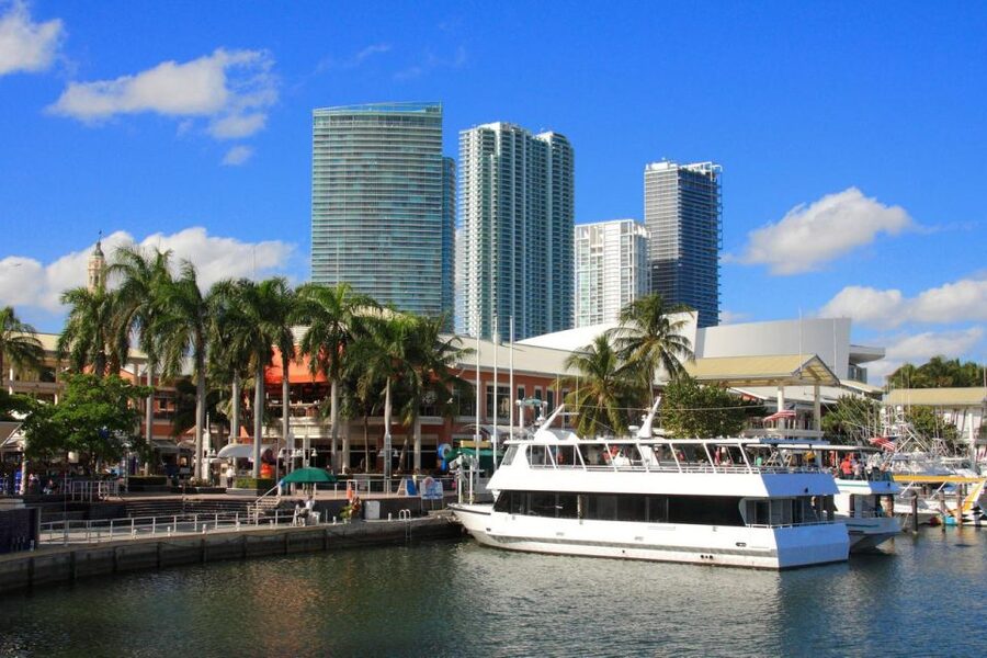 From Miami: Everglades Wildlife Show, Airboat & Bus Transfer - What to bring, what to wear, and how to get better wildlife photos