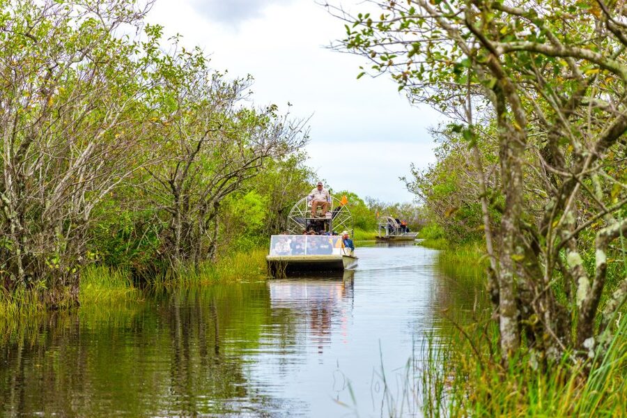 From Miami: Everglades Wildlife Show, Airboat & Bus Transfer - Free time at Everglades Park: how to use your walk-around window