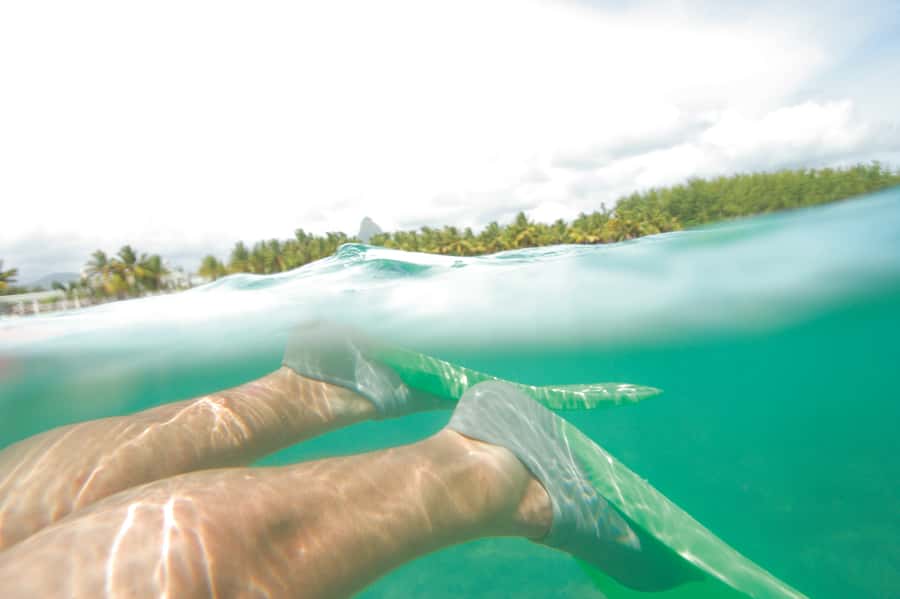 From Miami: Key West with Dolphin Watch or Snorkel Boat - The Bus Experience: Comfort, Timing, And Why AC Matters