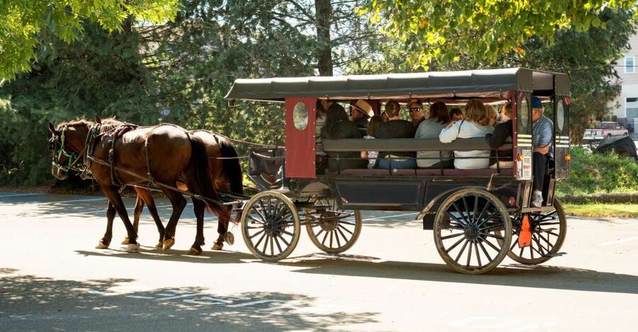 From NYC: Day Trip to Philadelphia and Amish Country - Key Highlights to Pay Attention To