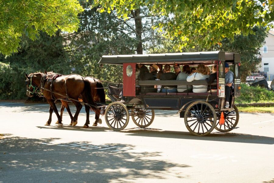 From NYC: Day Trip to Philadelphia and Amish Country - Tour Value and Pricing: What $149 Buys in One Long Day