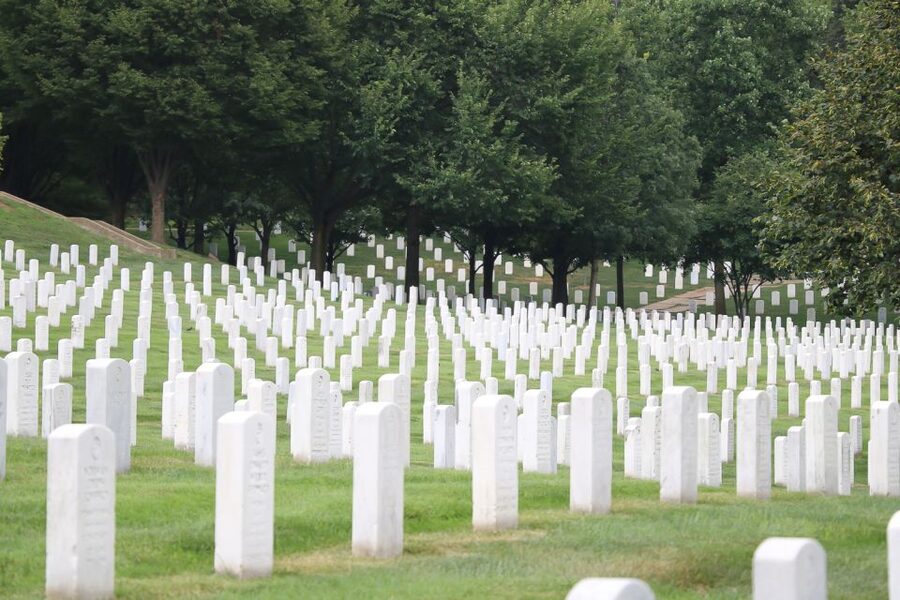From NYC: Guided Day Trip to Washington DC by Van or Bus - Key highlights worth your attention