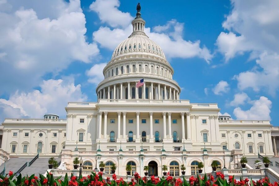 From NYC: Guided Day Trip to Washington DC by Van or Bus - Transportation comfort and what to pack for a long standing day