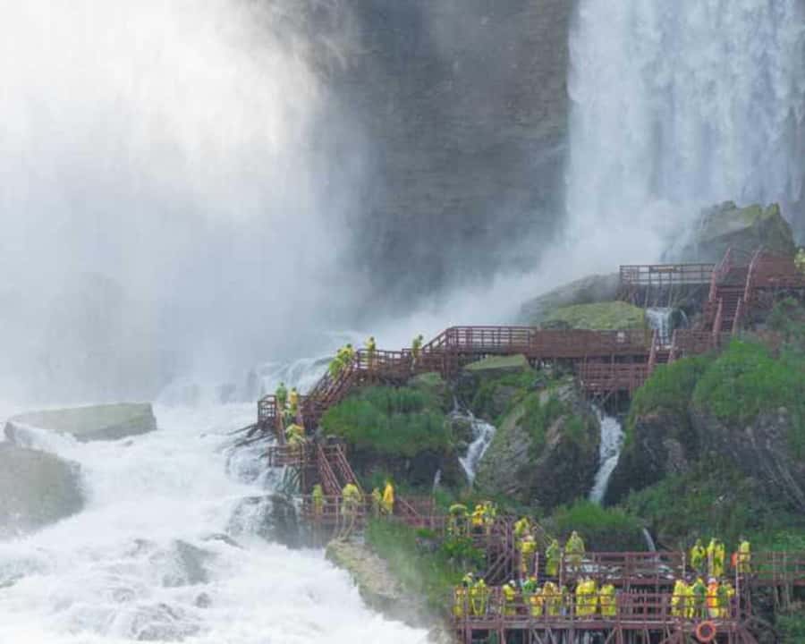 From NYC: Guided Niagara Falls Full-Day Trip - Key highlights you will feel fast