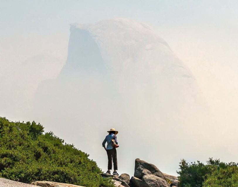 From San Francisco: Day Trip to Yosemite National Park - A long day made sane: San Francisco to Yosemite by biofueled mini-coach