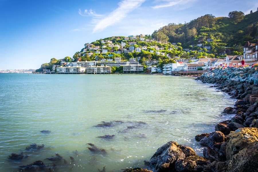 From San Francisco: Guided Muir Woods Excursion - Sausalito Stop: 45 Minutes to Wandering, Bites, and Bay Views